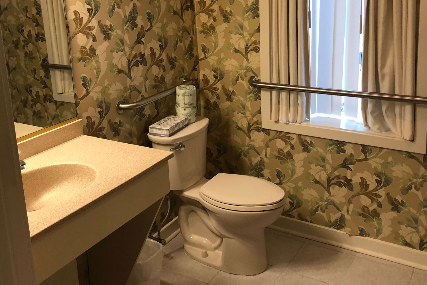 1 Bedroom Apartment - Lower